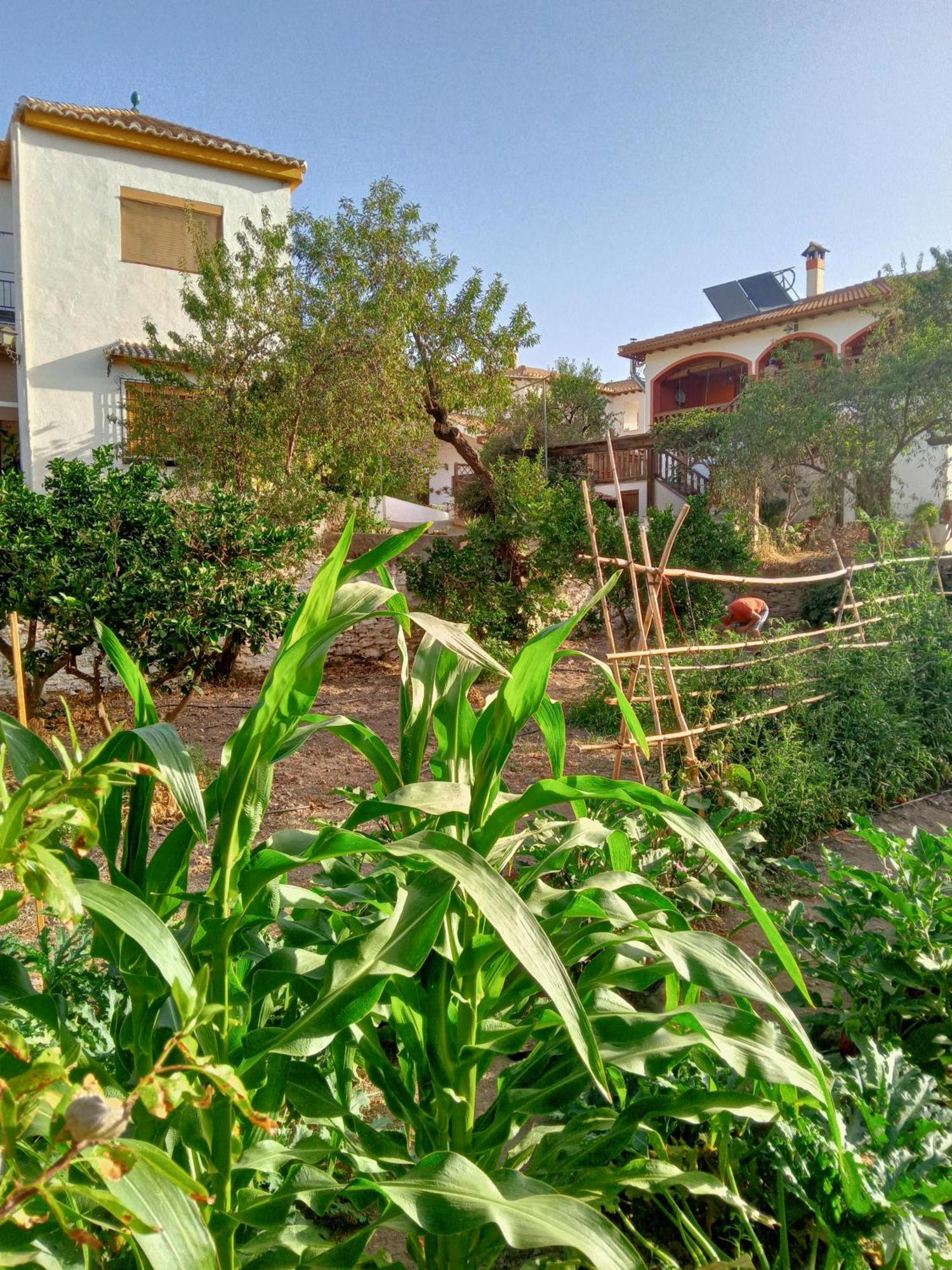 Tuguest Hortichuela House Villa Ugijar Dış mekan fotoğraf